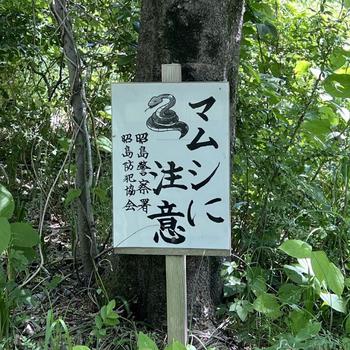 Snake sign, Bike path to Hachioji