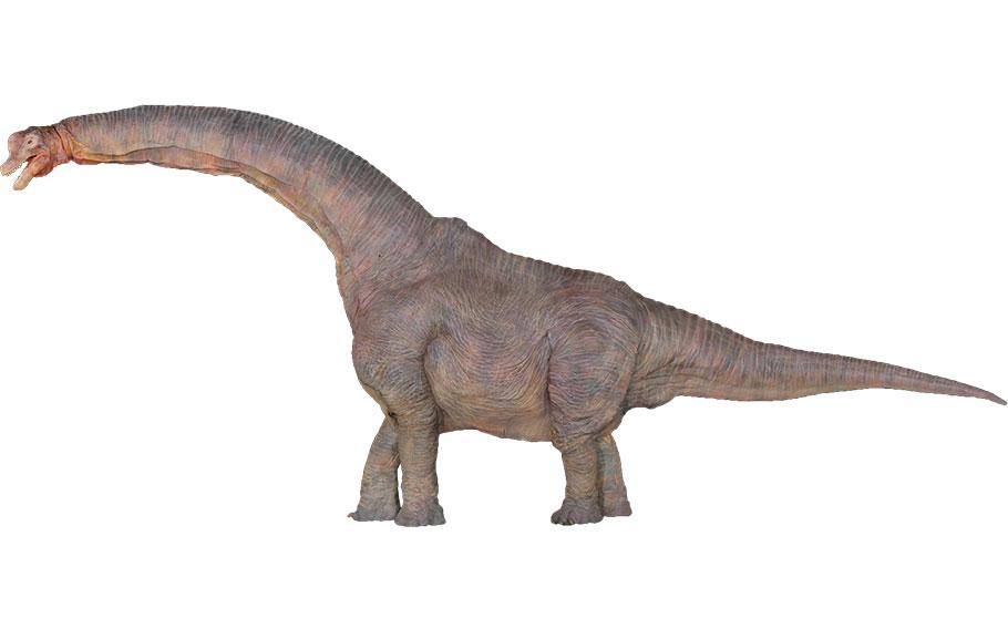 a dinosaur.