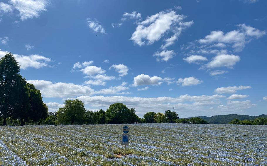 Flower Village Kamu no Sato