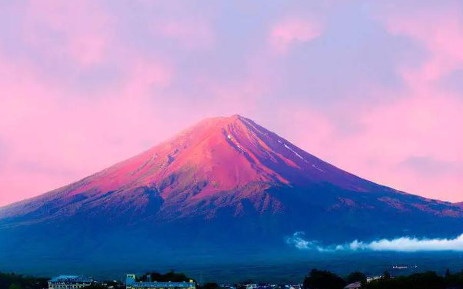 Red Fuji