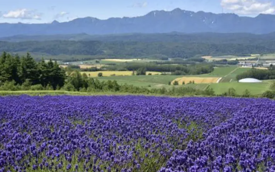 With a majestic rural landscape, Rokugo was the set location for the Japanese drama Kita No Kuni Kara