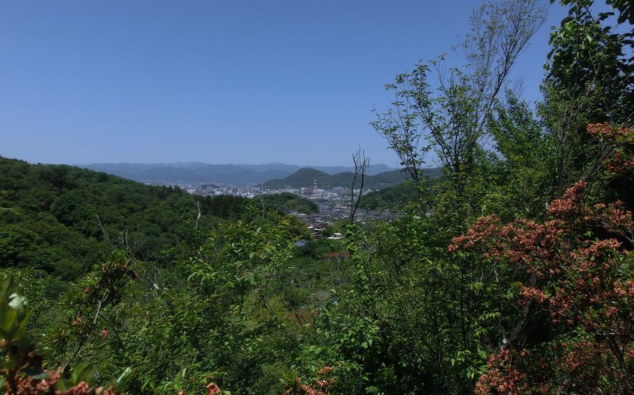 Scenery from the park. Many trees with green leaves, but no flowers.