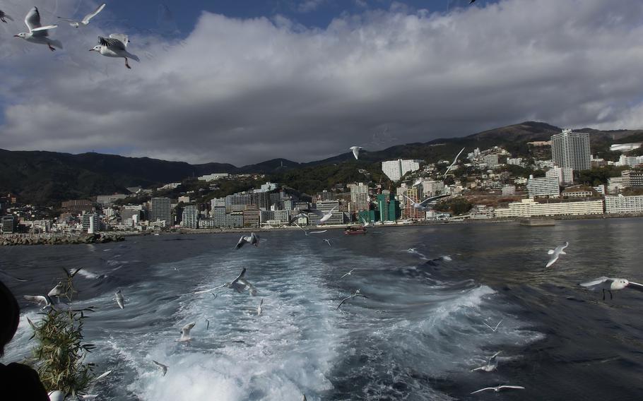 Hooded gulls fly around the high-speed boat.