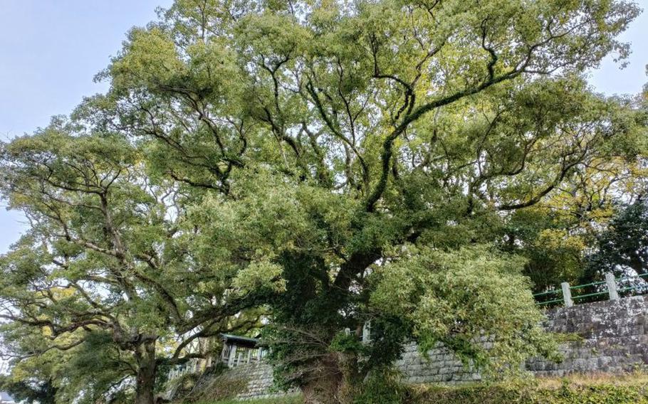 Suitengu from the Chikugo