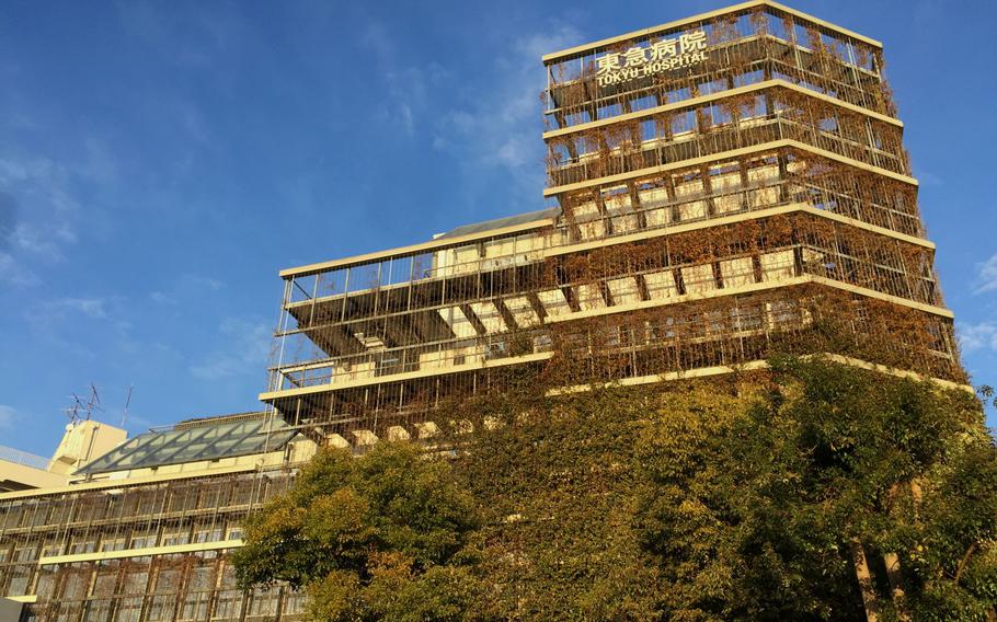 Ookayama Station shares the stunning eco-friendly building designed by architect Yasuda Koichi with Tokyu Hospital.