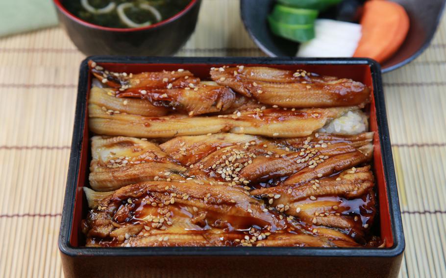Conger eels in Japanese square box tableware.