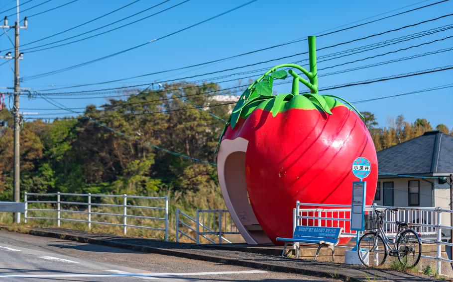 kyushu, japan - dec 10 2022: Asphalt road of highway 207 along the fruit-shaped avenue of Tokimeki where a bicycle is parked next to a bench in front of a bus stop designed as a giant tomato fruit.