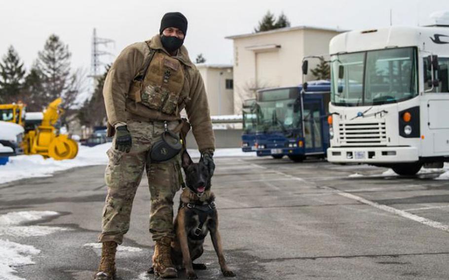 U.S. Air Force Staff Sgt. Jesse Lawson, a Military Working Dog (MWD) handler, and Assan, a MWD, both assigned to the 35th Security Forces Squadron, stand together after completing detection training at Misawa Air Base, Japan, Jan. 15, 2021. MWDs will ultimately retire out of the Air Force; and the last MWD Handler will receive first choice at adopting the partner they've worked so closely with throughout their career. (U.S. Air Force photo by Airman 1st Class Leon Redfern)