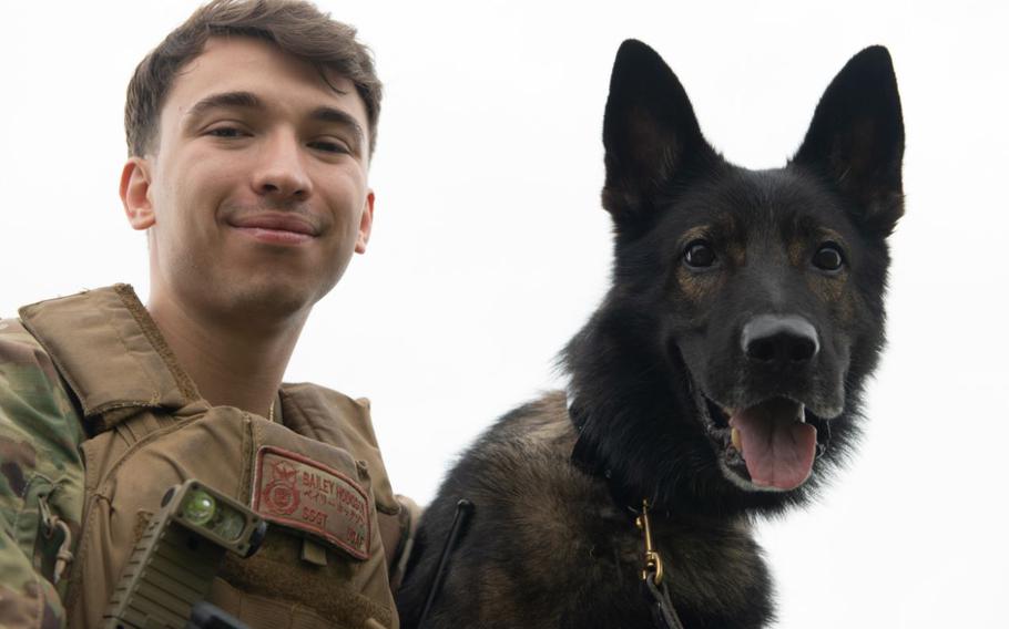 U.S. Air Force Staff Sgt. Bailey Hodgson, 374th Security Forces military working dog handler, and Riko, a military working dog, pose for a photo at Yokota Air Base, Japan, Sept. 22, 2023. Hodgson began working as Riko’s handler in December 2022, and is now Riko’s owner. (U.S. Air Force photo by Staff Sgt. Taylor Slater)