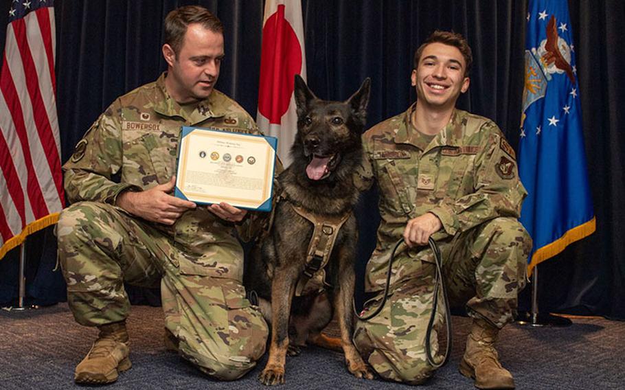 U.S. Air Force Lt. Col. Glenn Bowersox, 374th Security Forces Squadron (SFS) commander, left, Riko, a retired military working dog and U.S. Air Force Staff Sgt. Bailey Hodgson, 374th SFS military working dog handler, pose for a photo during Riko's retirement ceremony at Yokota Air Base, Japan, Oct. 12, 2023. Hodgson began working as Riko's handler in December 2022 and is now Riko's owner. (U.S. Air Force photo by Staff Sgt. Taylor Slater)