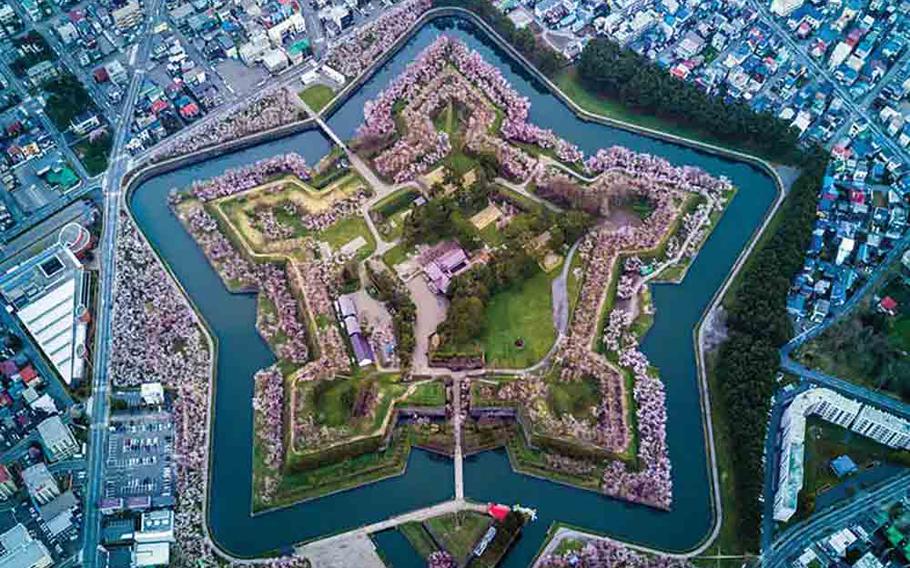 Aerial view of Goryokaku Park’s cherry blossoms from Goryokaku Tower