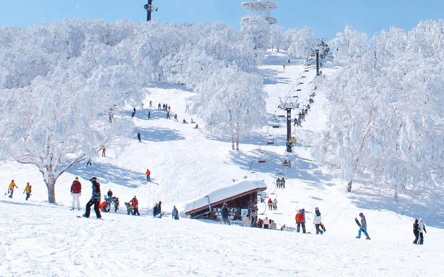 Nozawa Onsen