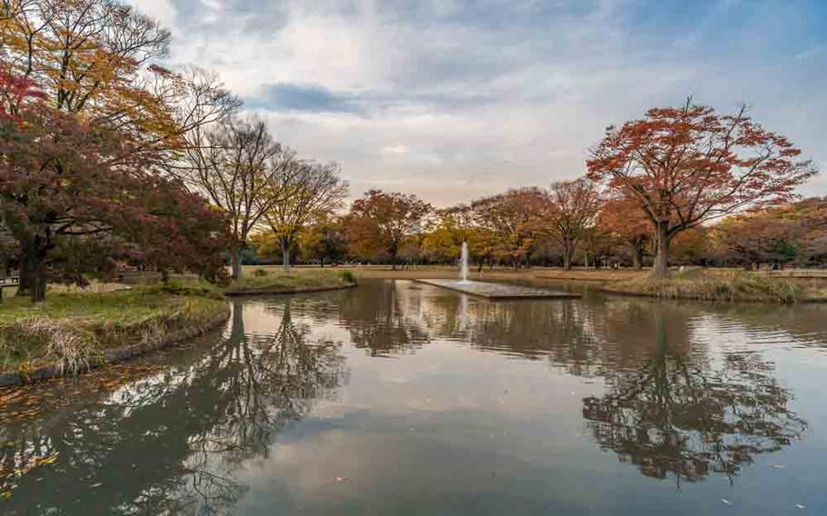 pond and fountain at Yoyogi Park