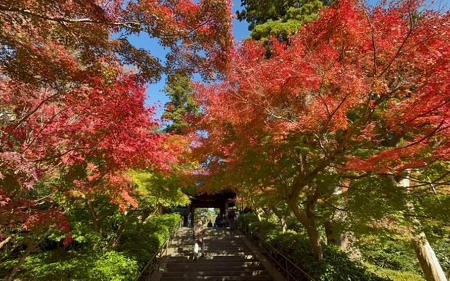 Engakuji Temple in Kita Kamakura