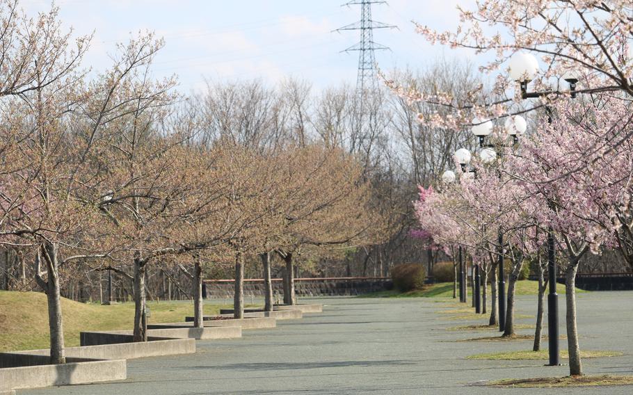 Hachinohe Park