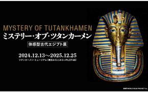 Mystery of Tutankhamen exhibit flyer