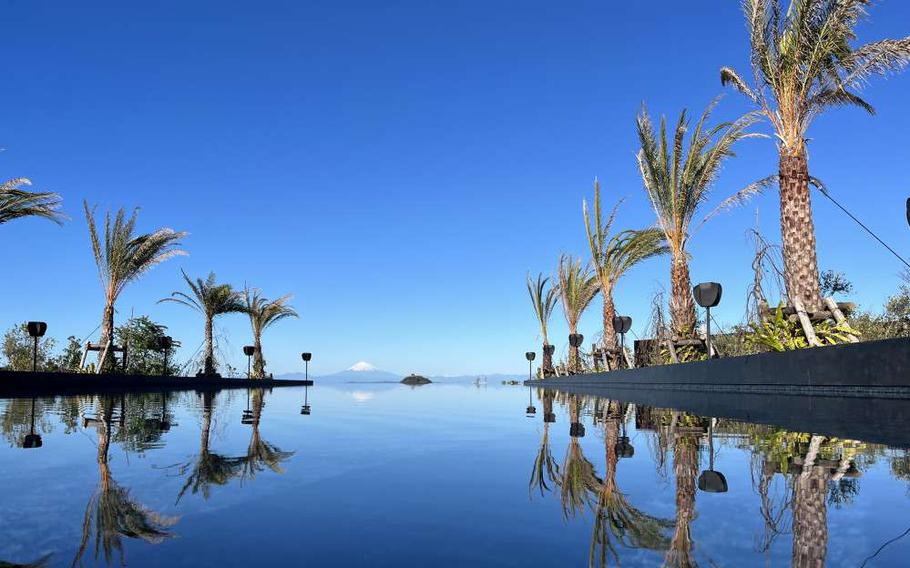 Botanical Pool Club pool and palm trees