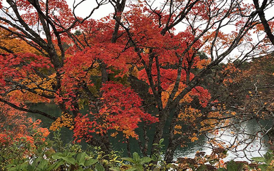 https://japan.stripes.com/travel/video-autumn-foliage-aizu-fukushima