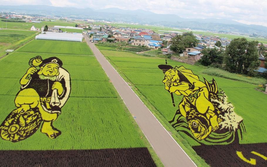 Rice art from a previous year (Photo: Yawning Hunter / CC BY 2.0)