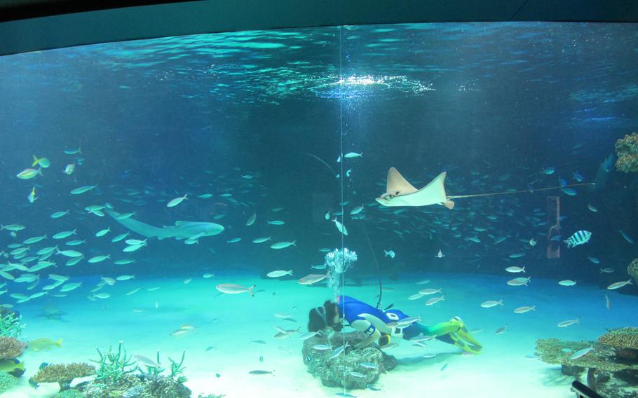 Sunshine Aquarium