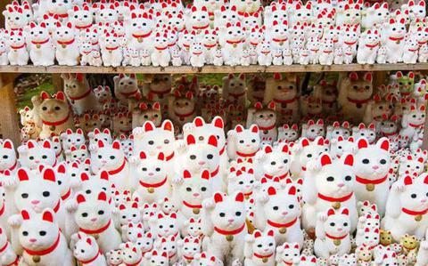 Photo Of Maneki neko dolls