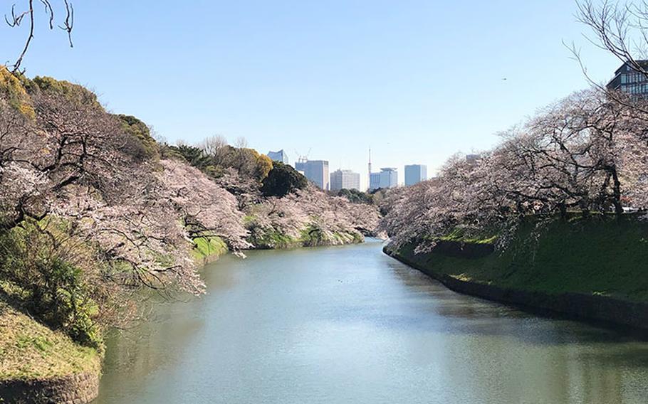 Photos by Takahiro Takiguchi