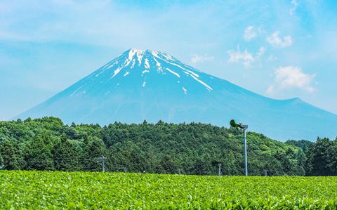 Photo Of Beautiful Fuji mountain and fresh organic green tea farm in summer season.