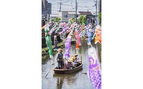 carp streamers over river