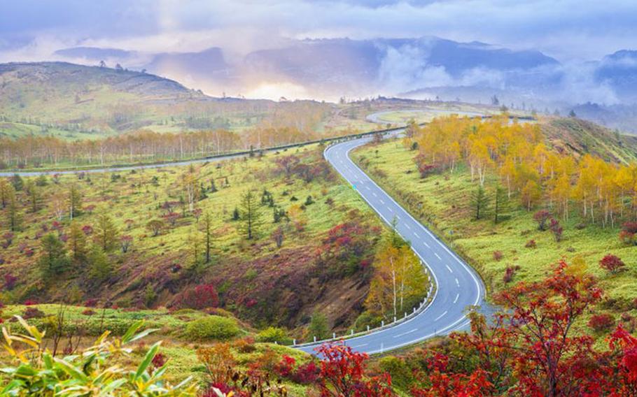 Photo: Autumn paradise in Gunma – Norikazu / Shutterstock.com