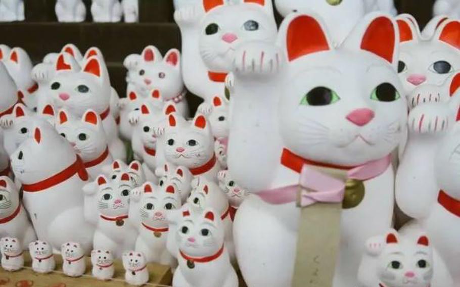 Maneki neko dolls