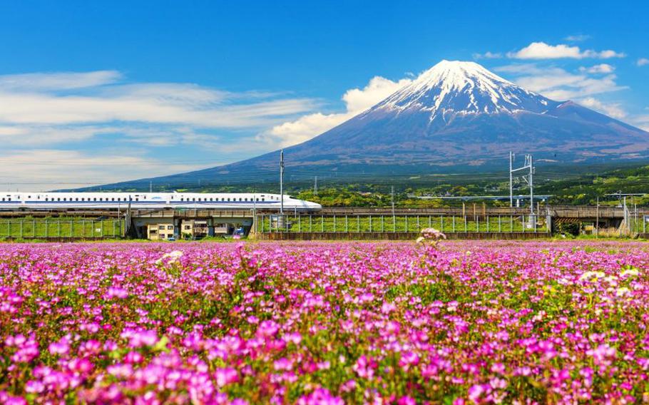 Shinkansen beside Mount Fuji in spring (Photo: Blanscape / Shutterstock.com)