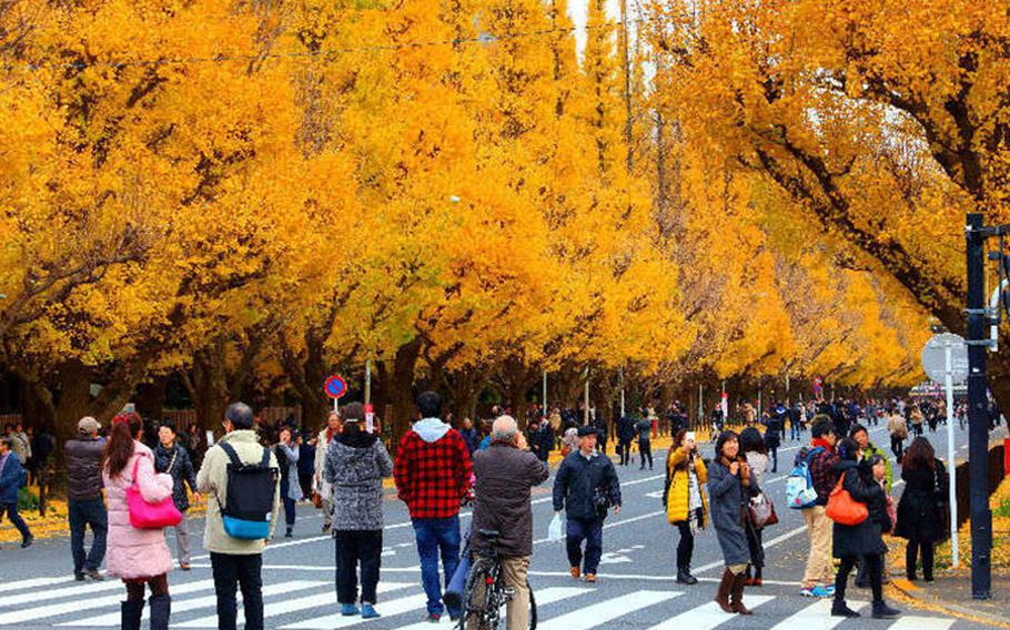 Meiji Jingu Gaien