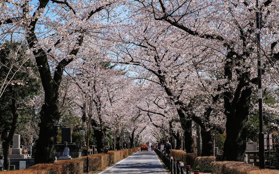 Aoyama Cemetery