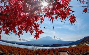 Lake Kawaguchiko (Photo by Miyuki Takiguchi)