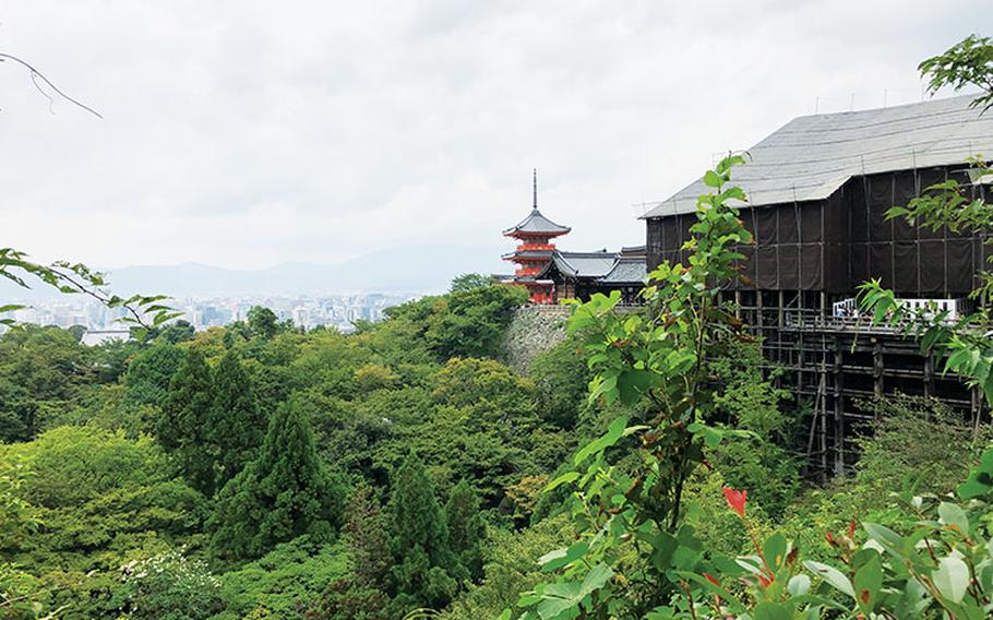 Photo by Takahiro Takiguchi