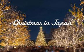 Christmas tree and illuminations on a street in Japan