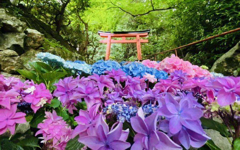 Photo: Yanagidani Kannon Yangokuji Temple