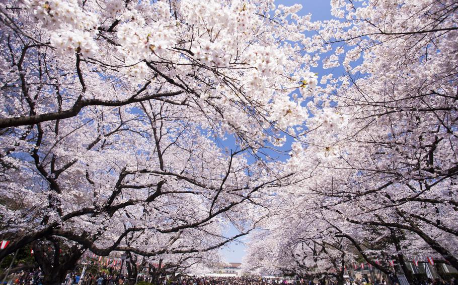 Ueno Park