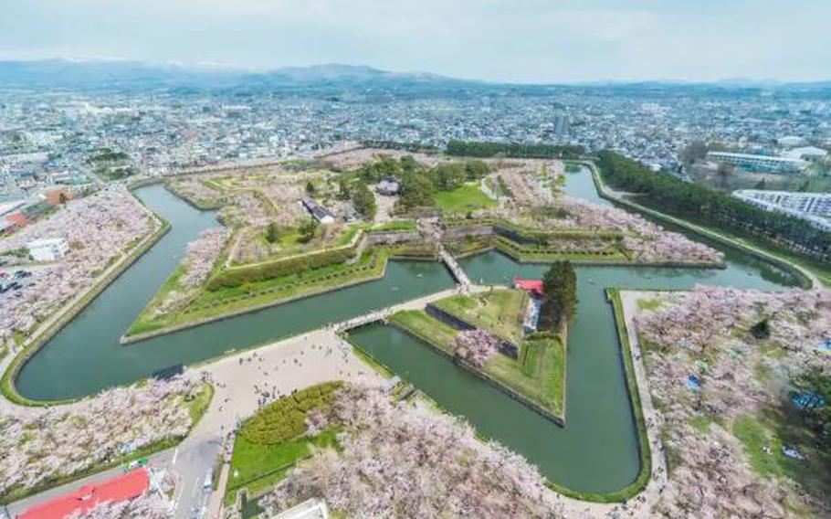 Sakura blossoms around Goryokaku (Hakodate, Hokkaido)