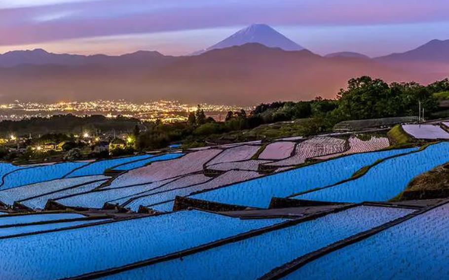 Mount Fuji seen from rice paddies in Yamanashi Perefcture