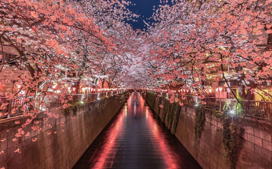 Meguro River