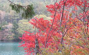 Photo by Takahiro Takiguchi