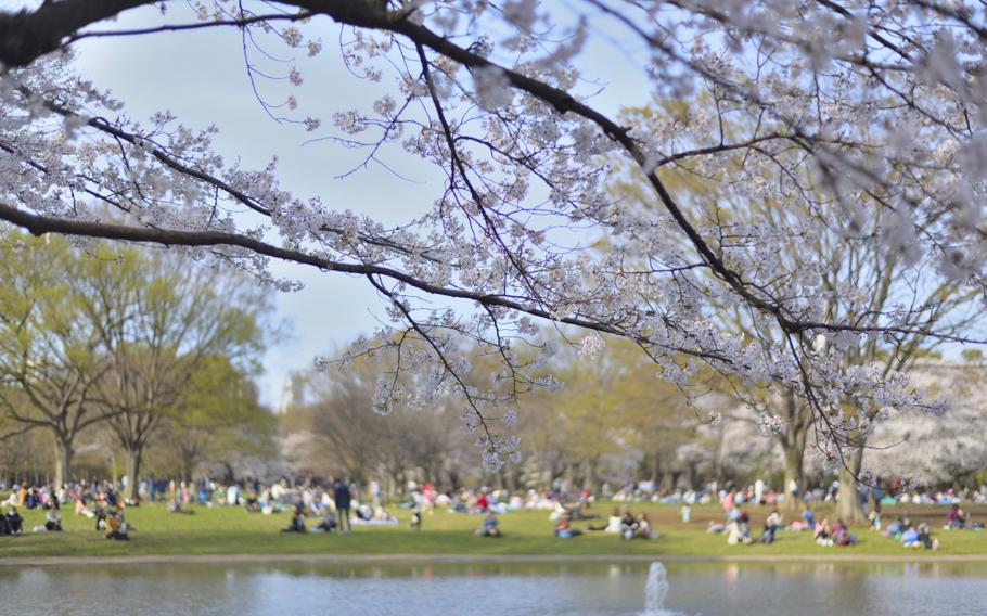 Yoyogi Park