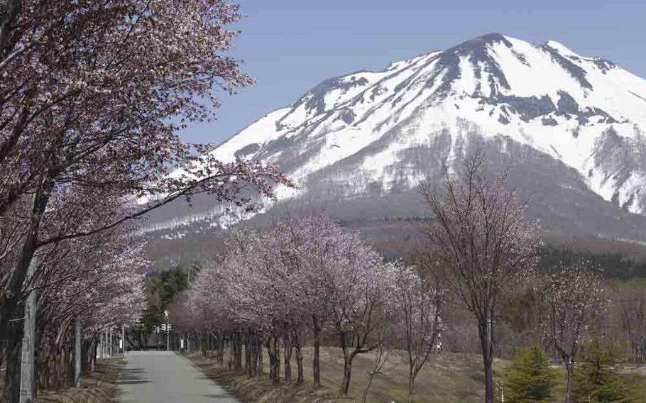 Iwakisan Sakurabayashi Park