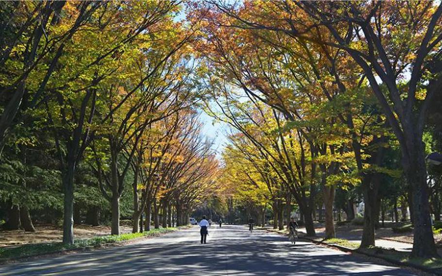 Komazawa Park