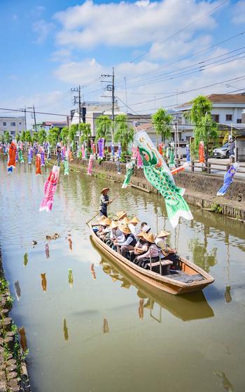 carp streamers over river and a boat