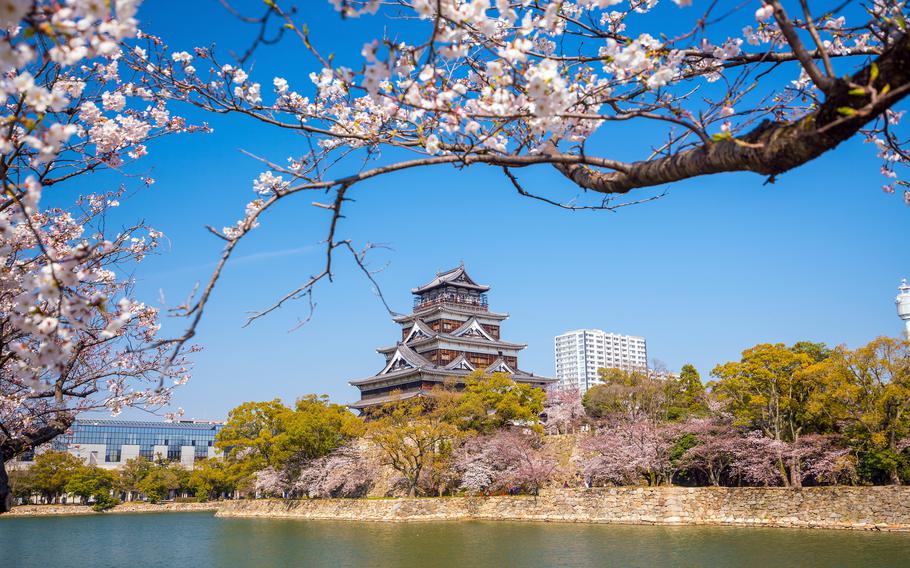 Hiroshima Castle during cherry blossom season