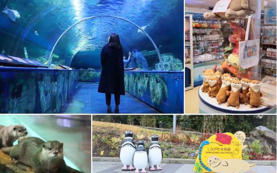Shinagawa Aquarium photos