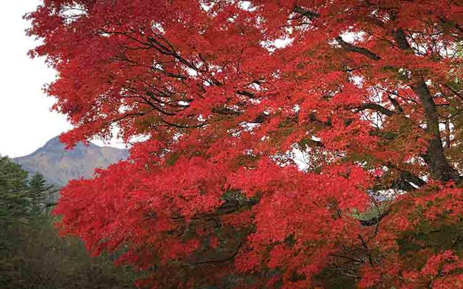 fall foliage in Goshiki Numa