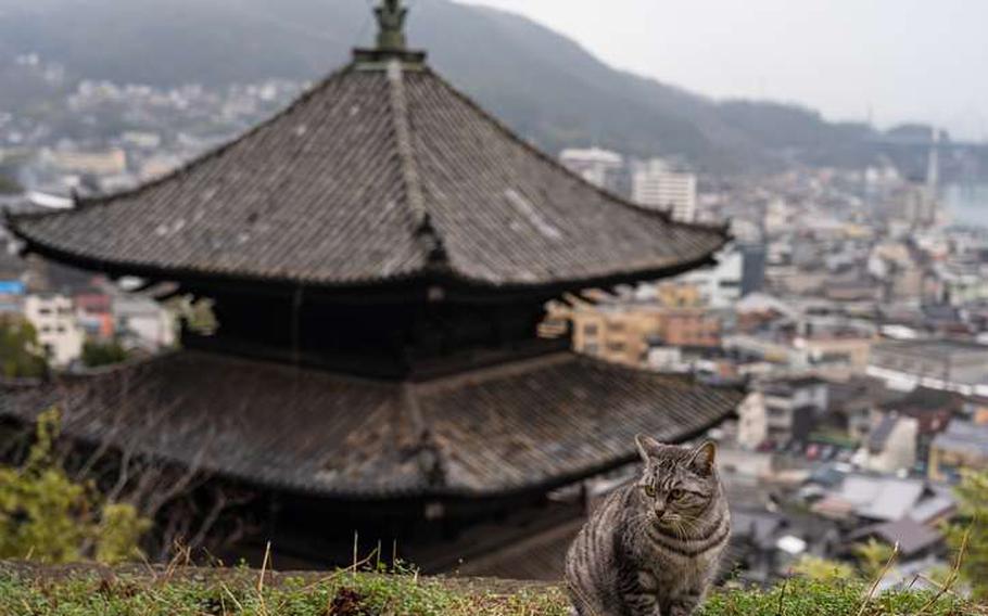 Neko-no-Hosomichi Cat Alley in Onomichi City.